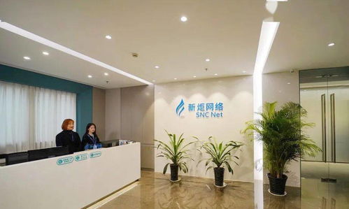 上海松江8家企業(yè)榮登2020軟件和信息技術服務業(yè)“雙百”榜單